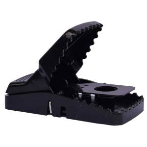 Piège Trapper T-Rex pour Rats - Solution de Haute Performance pour la Lutte Antinuisible