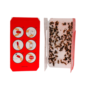 Blatrap solution incontournable pour la surveillance et le contrôle des cafards germaniques à l'intérieur