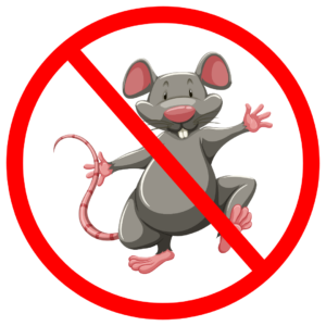 Société de dératisation à Fès