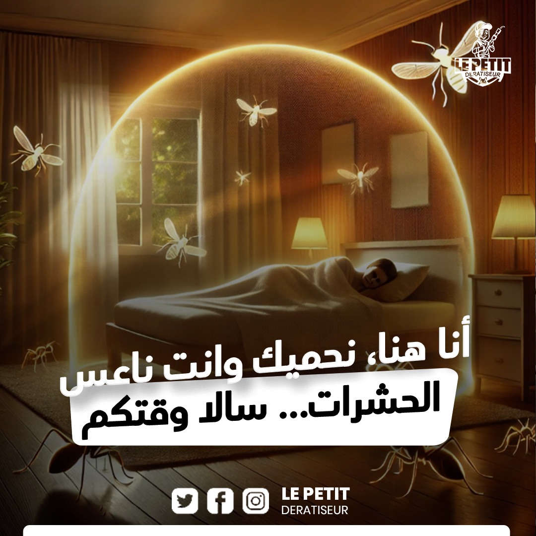 pest control casablanca