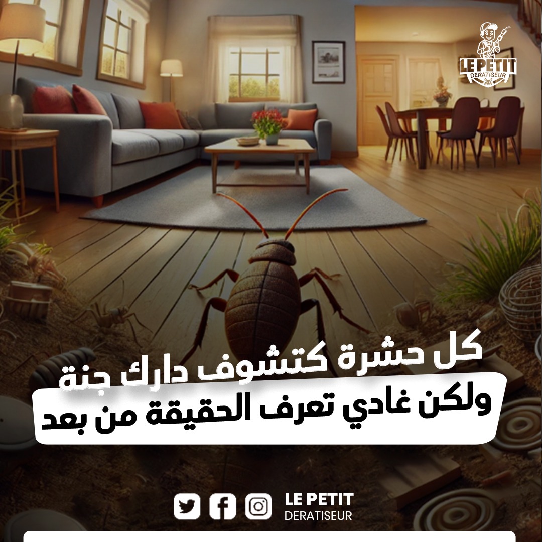 deratisation casablanca