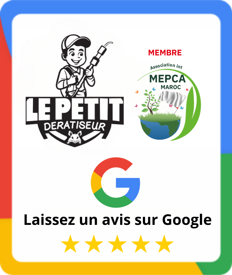 Laissez un avis sur Google