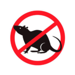 Société de dératisation à Fès