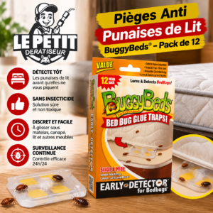 Pièges Anti Punaises de Lit BuggyBeds® - Pack de 12