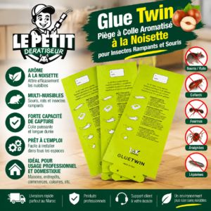 Piège Glue Twin à la Noisette