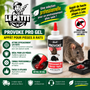 Solution professionnelle contre les rats