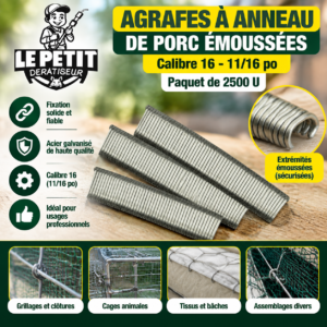 Agrafes à Anneau de Porc Émoussées de Calibre 16, 1116 po (Paquet de 2500 U)