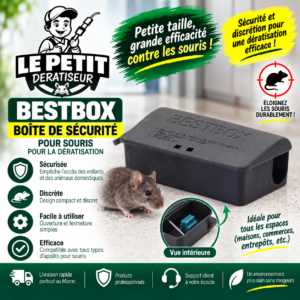 BESTBOX – Boîte de Sécurité pour Souris pour la Dératisation