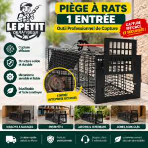 Piège à Rats 1 Entrée - Outil Professionnel de Capture