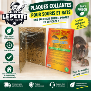 Plaques Collantes Écologiques pour Souris et Rats - Lot de 2
